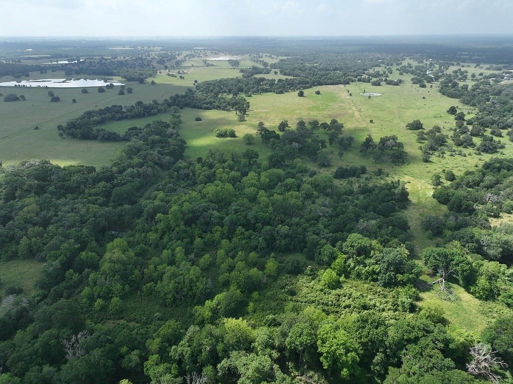 TBD Mach Road, La Grange, Texas image 10