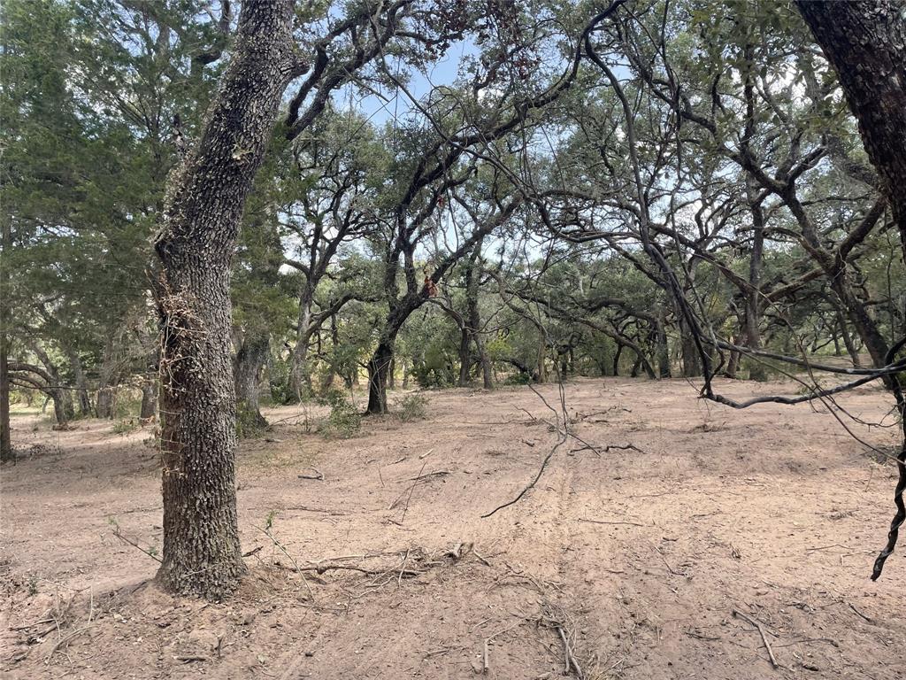 Lot 29 Shorebird, Columbus, Texas image 6