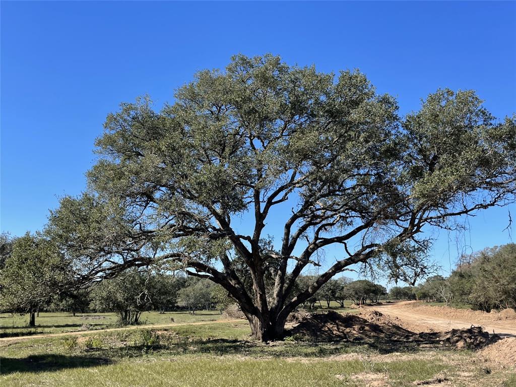 Lot 29 Shorebird, Columbus, Texas image 1