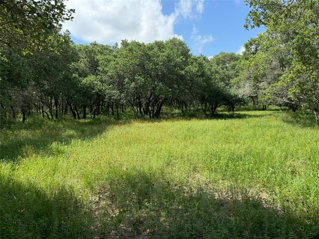 Lot 29 Shorebird, Columbus, Texas image 9