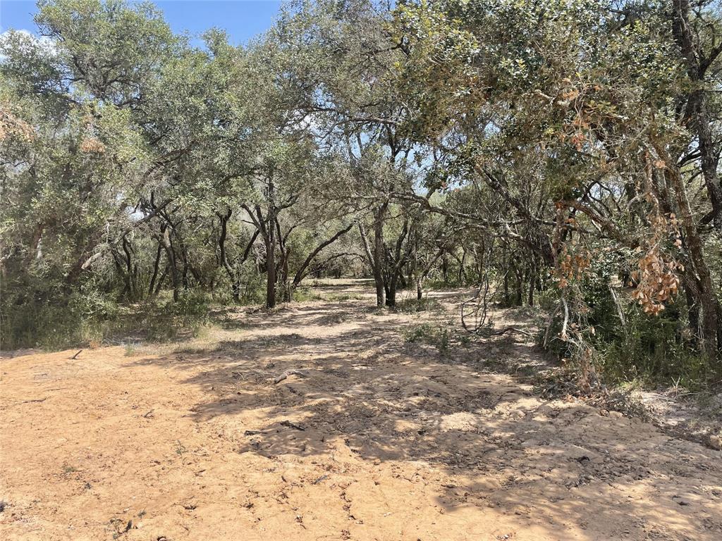 Lot 29 Shorebird, Columbus, Texas image 3