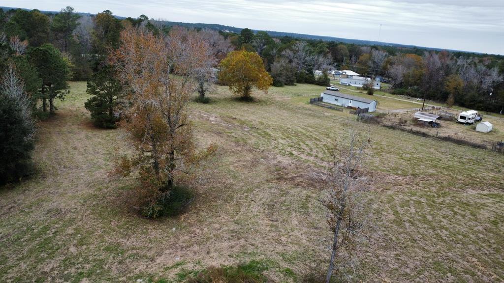 PID 126593 Hickory Hill Street, Zavalla, Texas image 8