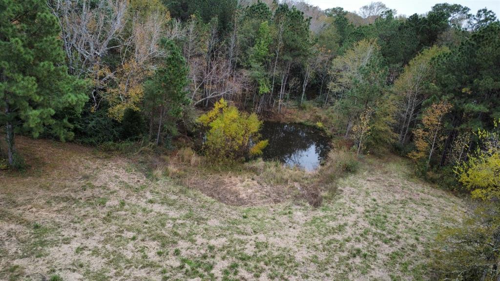 PID 126593 Hickory Hill Street, Zavalla, Texas image 9