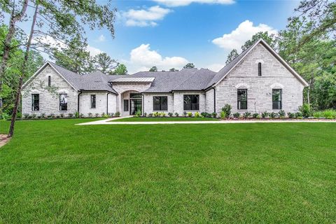 25123 Chisos Bend Montgomery TX 77316