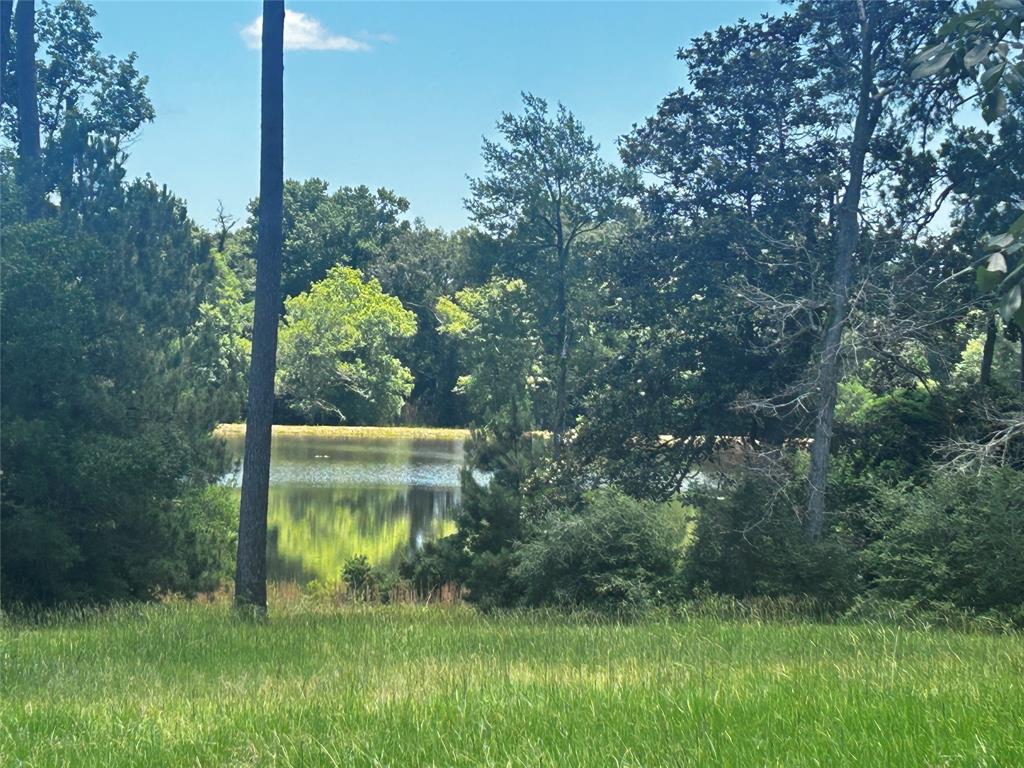 LOT 399 Lakeland Ranch, Hillister, Texas image 2