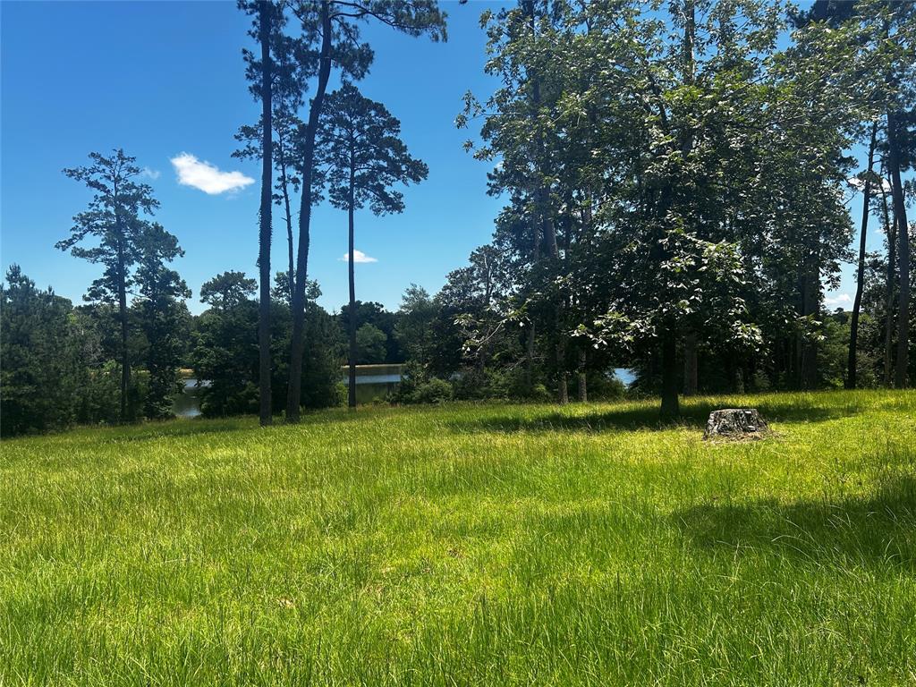 LOT 399 Lakeland Ranch, Hillister, Texas image 6