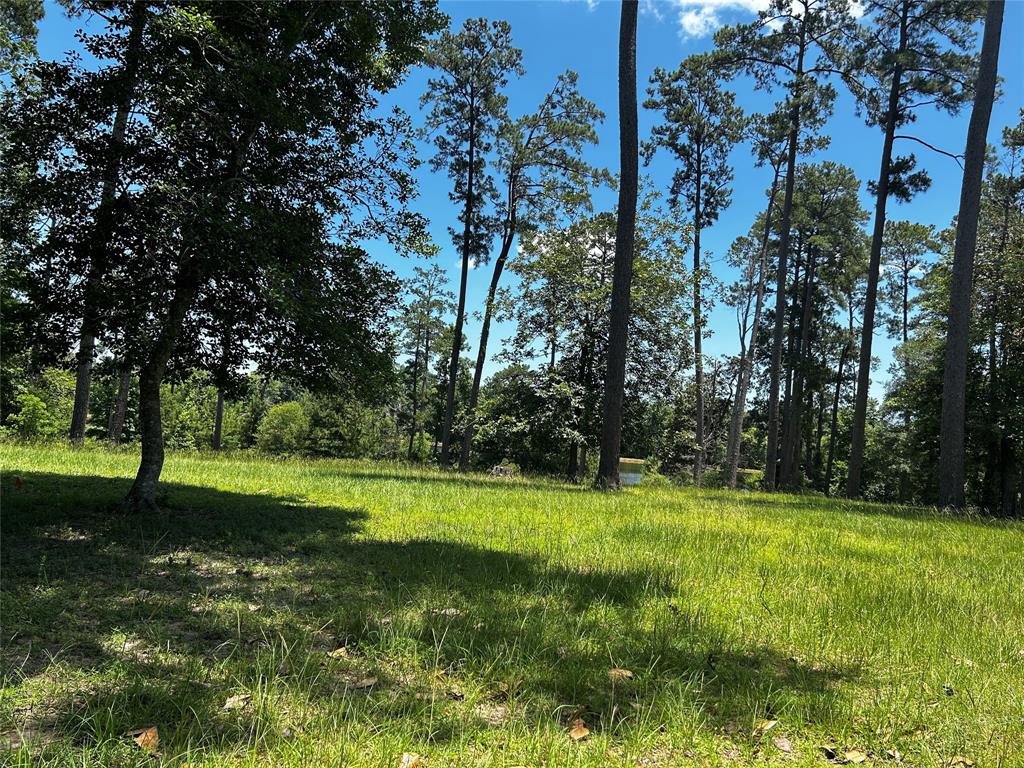 LOT 399 Lakeland Ranch, Hillister, Texas image 4