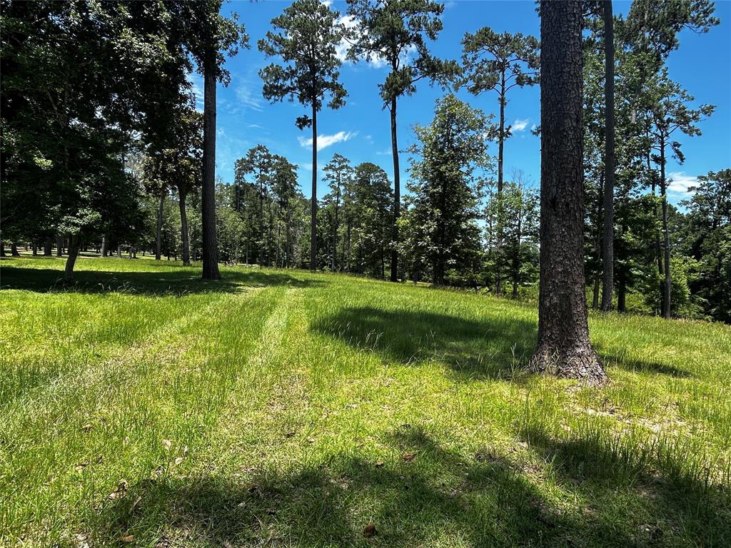 LOT 399 Lakeland Ranch, Hillister, Texas image 3