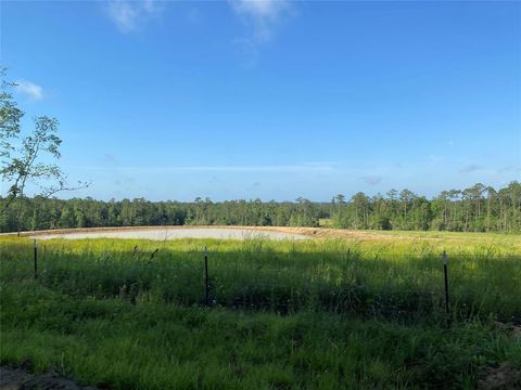Vacant Land For Sale - 0000 Cr 3000<br/> Tyler County, Doucette, TX 75942