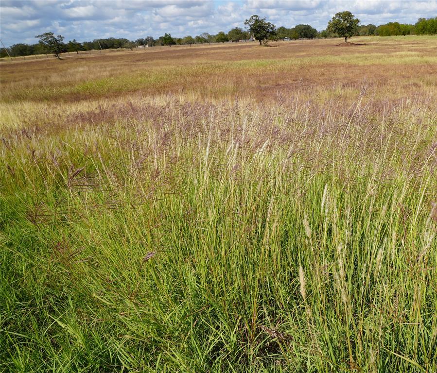 5411 N State Highway 95, Flatonia, Texas image 37