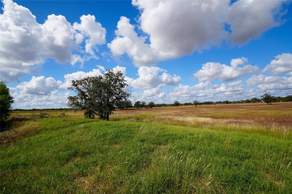 5411 N State Highway 95, Flatonia, Texas image 36