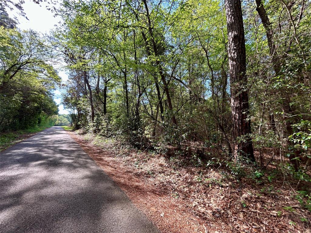TBD Copperhead Road