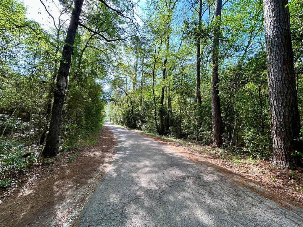 TBD Copperhead Road