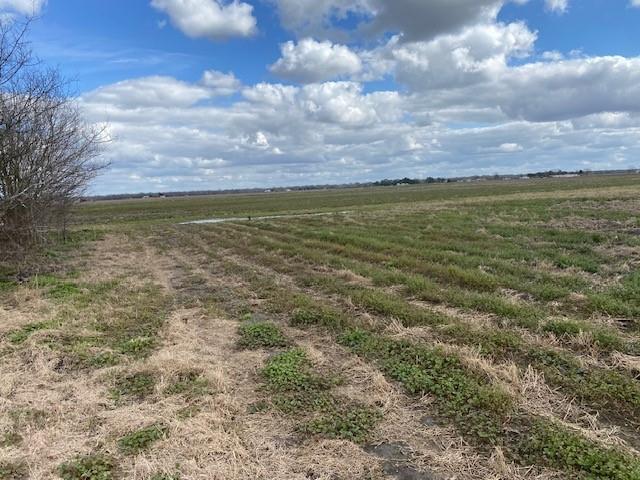 000000 County Road 268 Road, East Bernard, Texas image 4