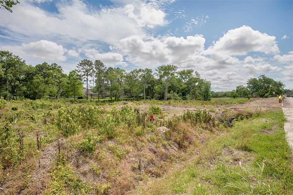1405 Greenbriar Drive, Friendswood, Texas image 6