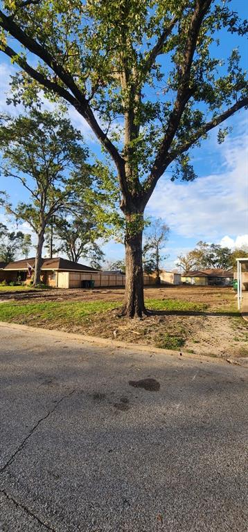 2214 Hewitt Drive, Houston, Texas image 4