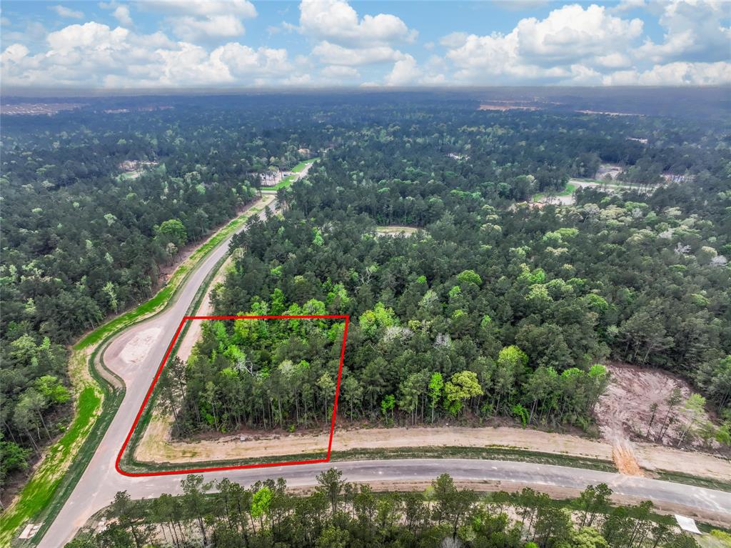 4848 Red Coyote Lane, Montgomery, Texas image 1