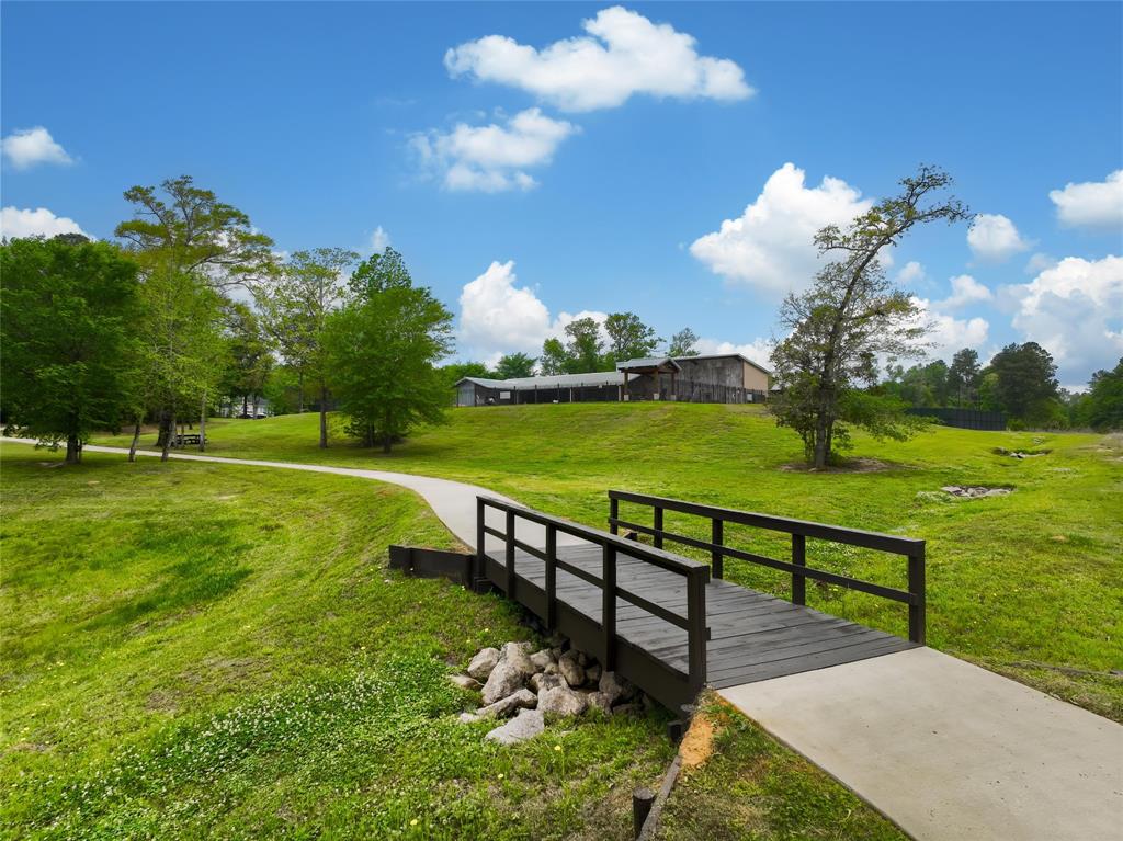 4848 Red Coyote Lane, Montgomery, Texas image 11