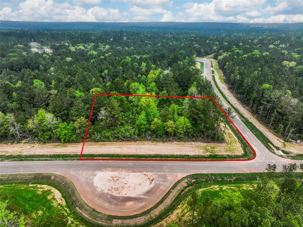 4848 Red Coyote Lane, Montgomery, Texas image 4