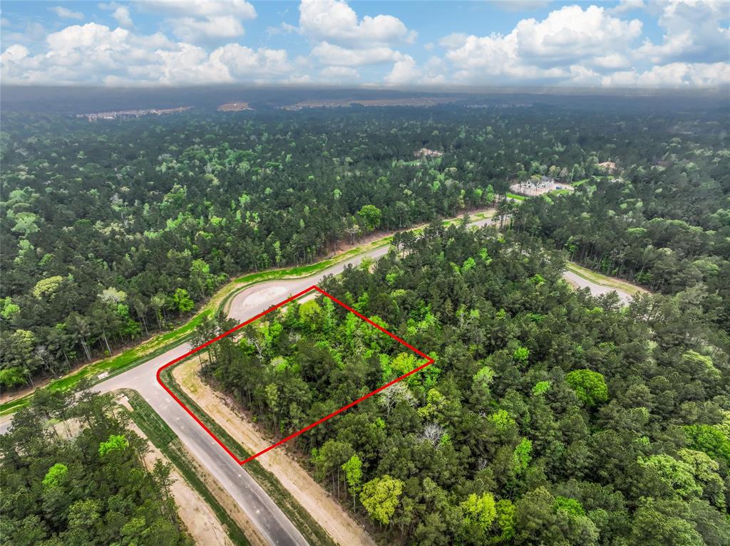 4848 Red Coyote Lane, Montgomery, Texas image 3