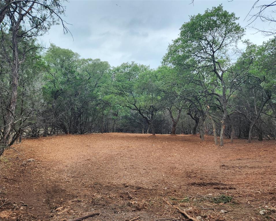 1600 Moerike Road, Canyon Lake, Texas image 1