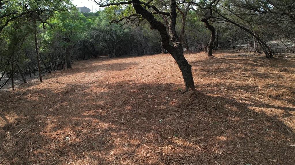 1600 Moerike Road, Canyon Lake, Texas image 7