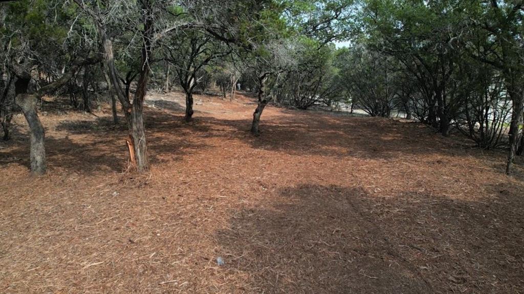 1600 Moerike Road, Canyon Lake, Texas image 8