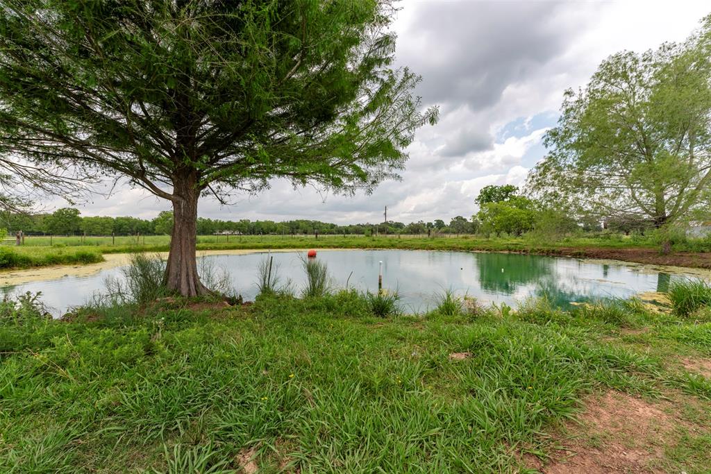 N. Bar Road, Rosenberg, Texas image 17