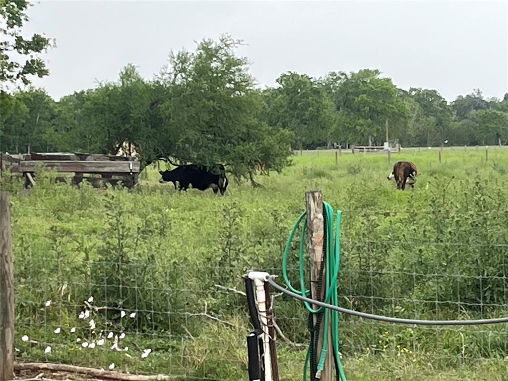 N. Bar Road, Rosenberg, Texas image 12