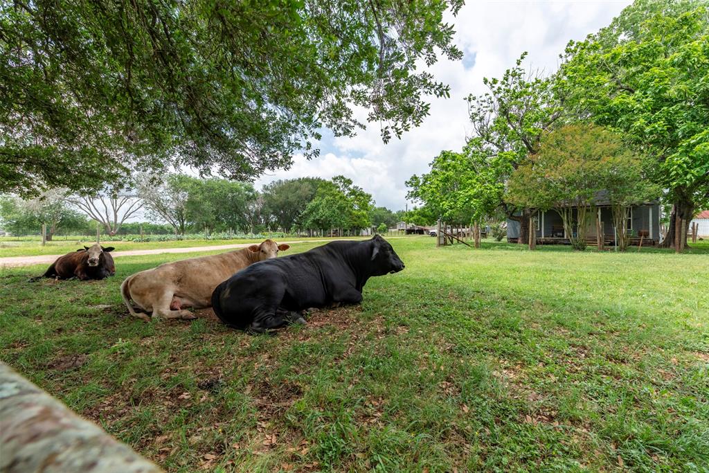 N. Bar Road, Rosenberg, Texas image 19