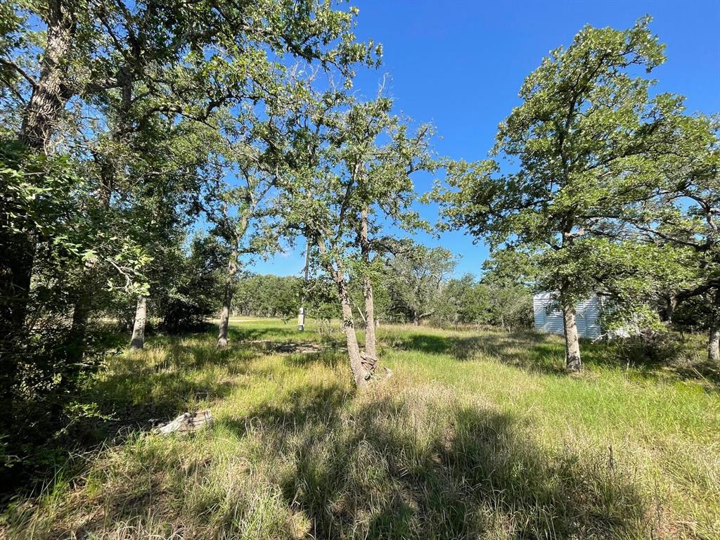 Lot 3 County Road 14, Hallettsville, Texas image 3