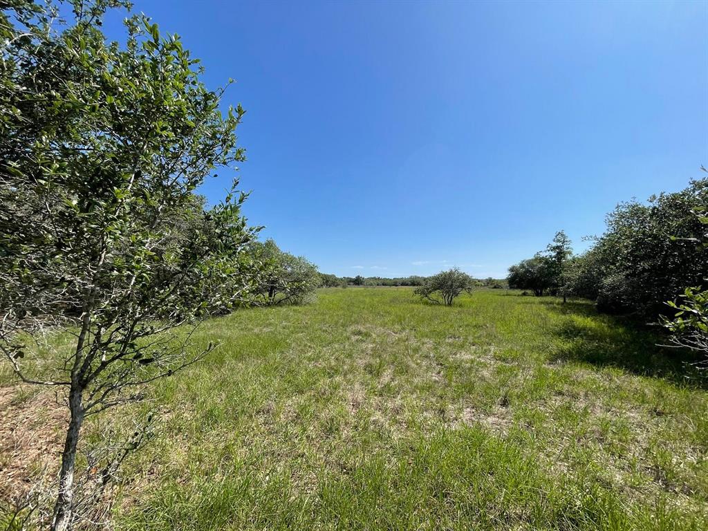 Lot 3 County Road 14, Hallettsville, Texas image 31