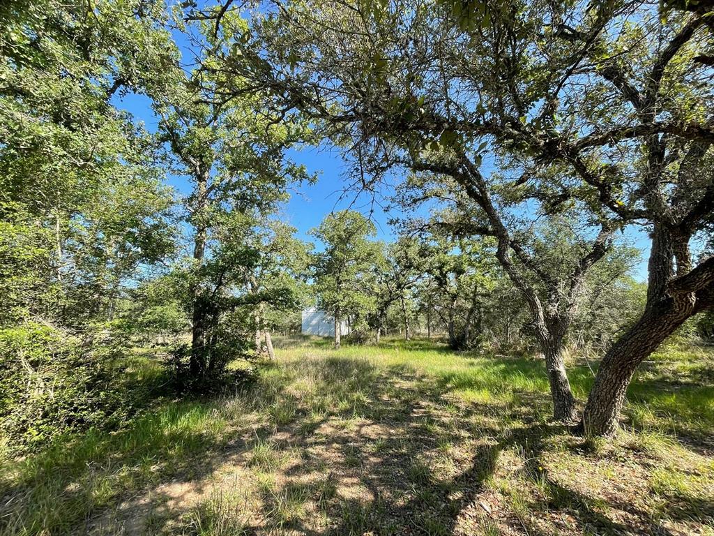 Lot 3 County Road 14, Hallettsville, Texas image 24