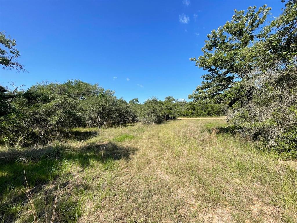 Lot 3 County Road 14, Hallettsville, Texas image 27