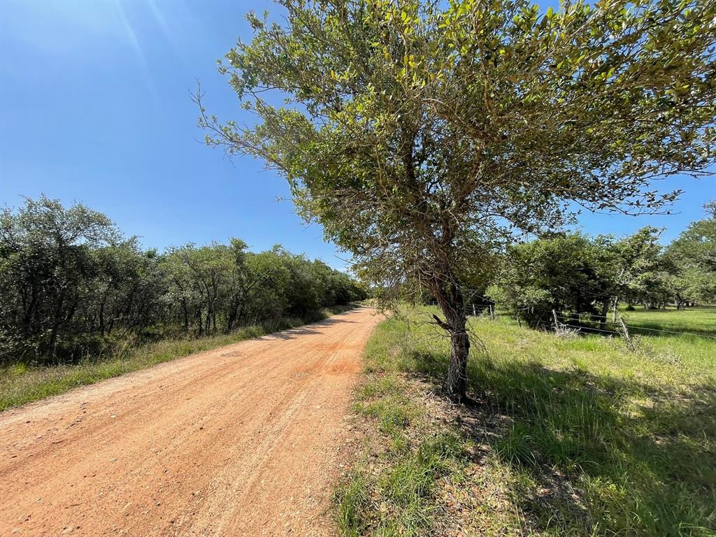 Lot 3 County Road 14, Hallettsville, Texas image 1