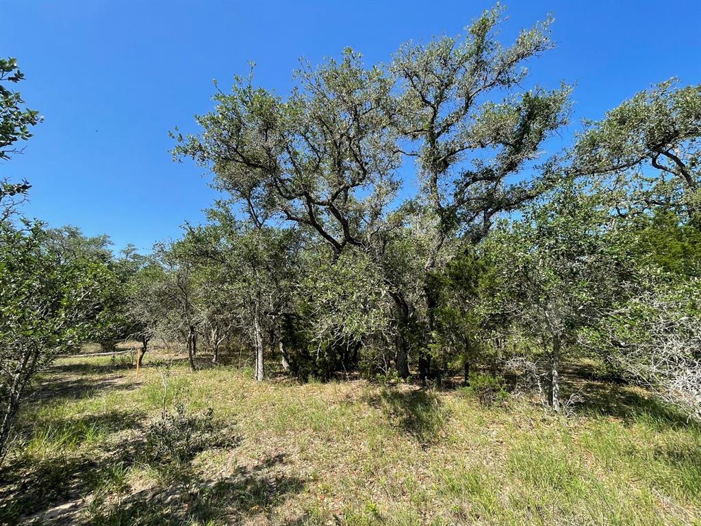 Lot 3 County Road 14, Hallettsville, Texas image 35