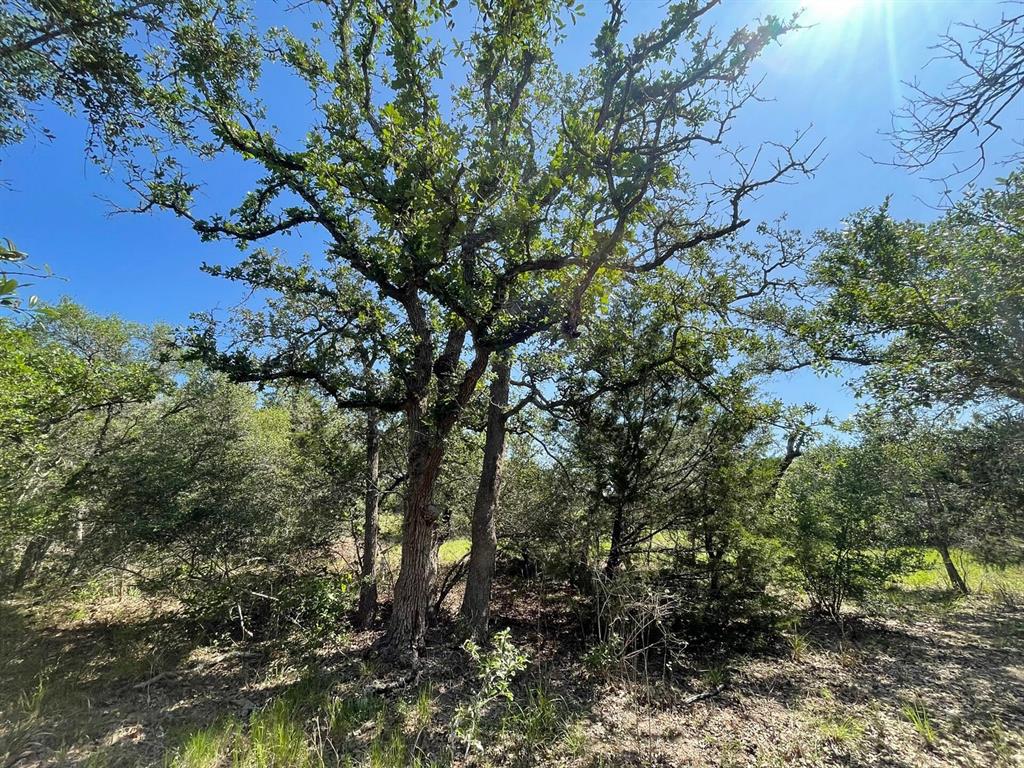 Lot 3 County Road 14, Hallettsville, Texas image 30