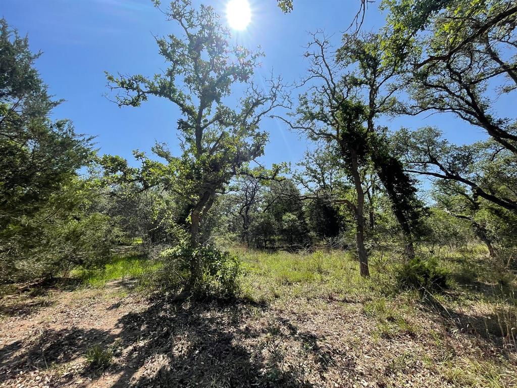 Lot 3 County Road 14, Hallettsville, Texas image 28
