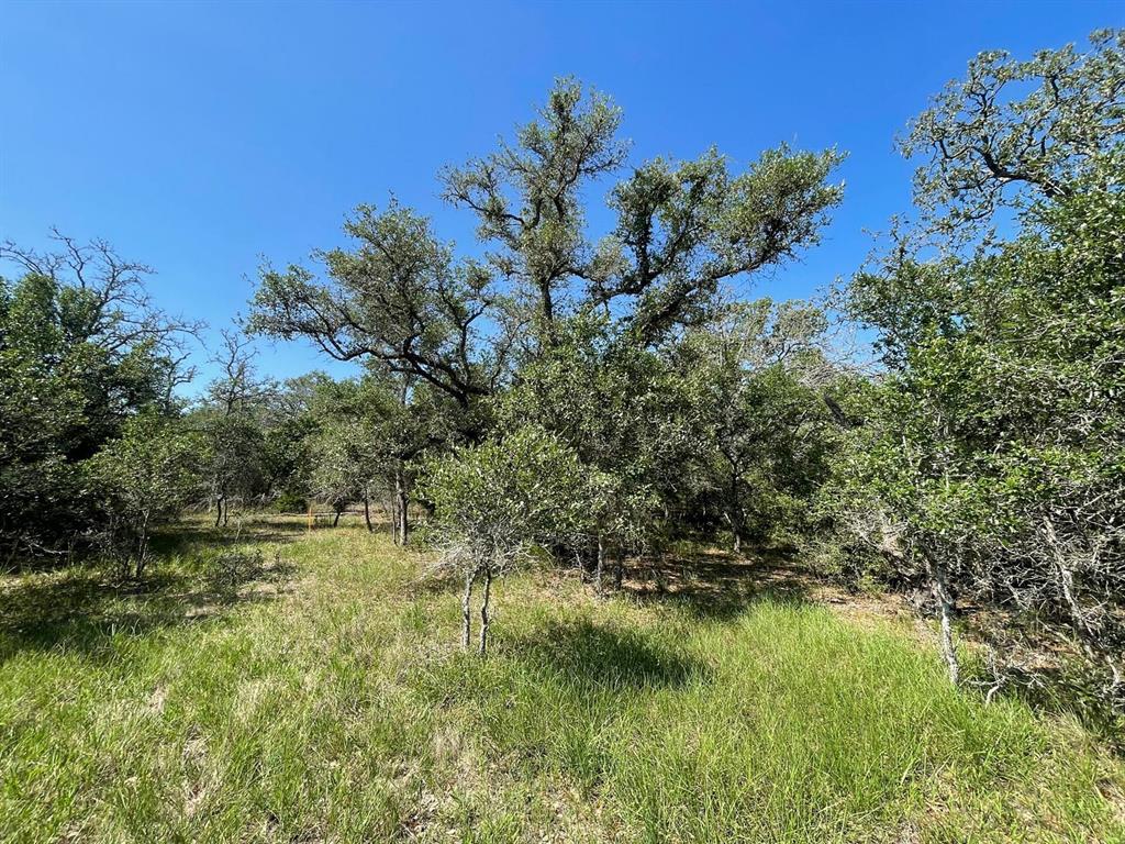 Lot 3 County Road 14, Hallettsville, Texas image 33