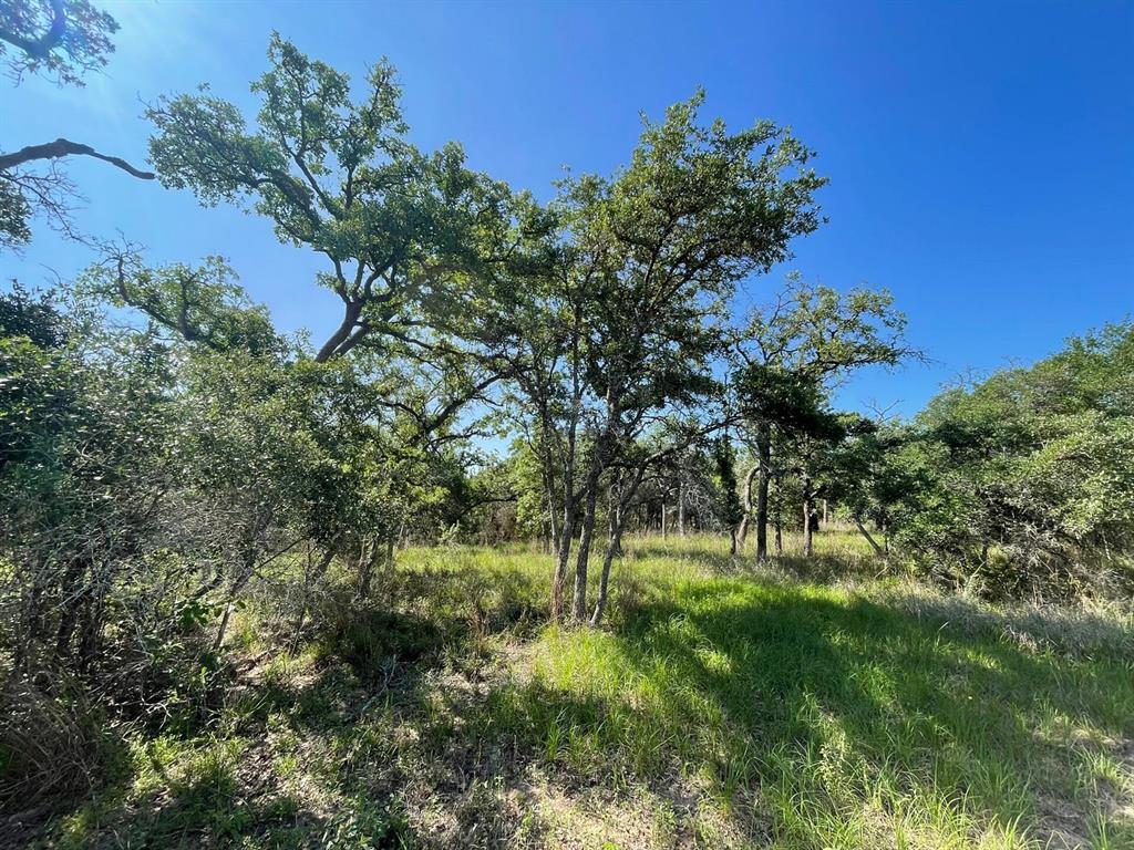 Lot 3 County Road 14, Hallettsville, Texas image 2