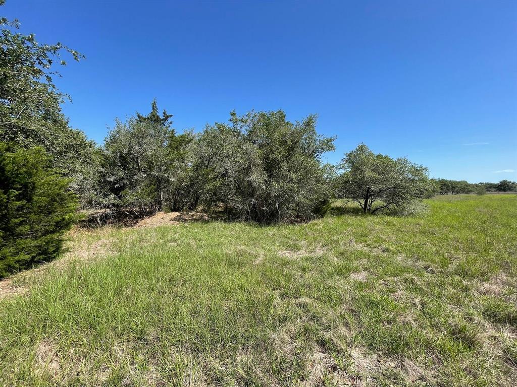 Lot 3 County Road 14, Hallettsville, Texas image 34