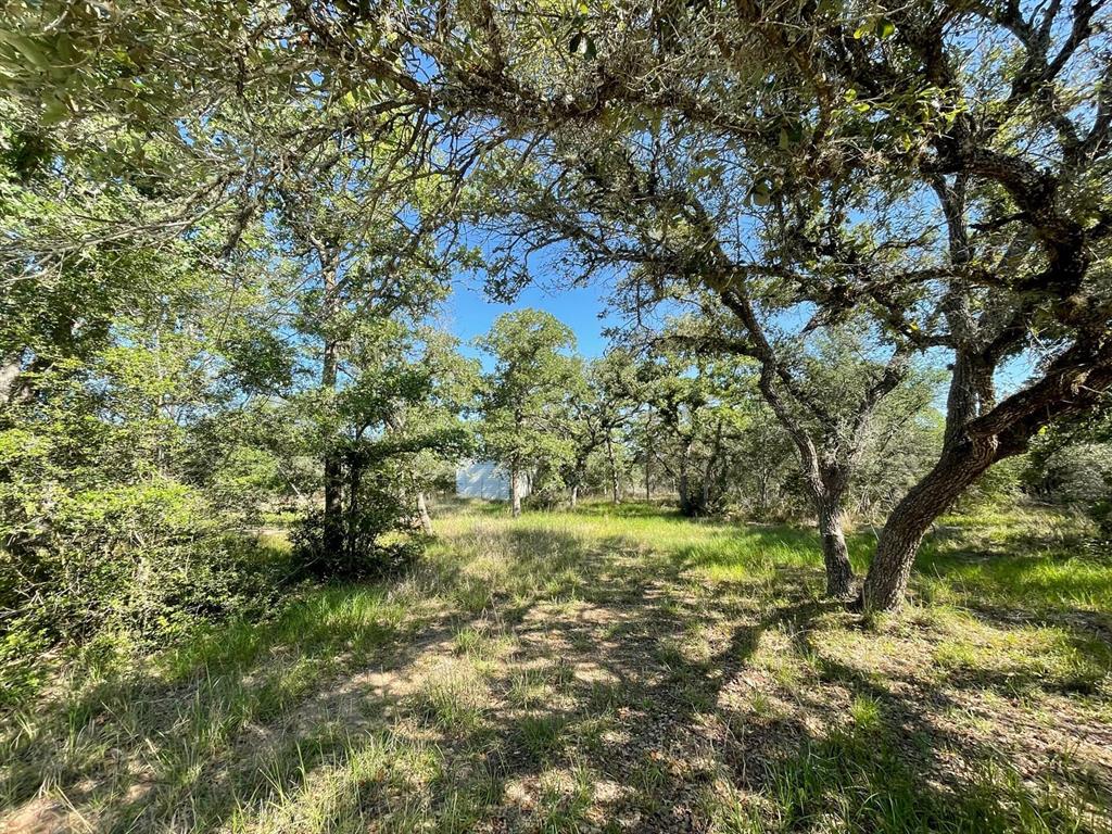 Lot 3 County Road 14, Hallettsville, Texas image 13