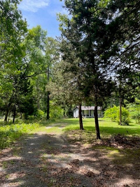 139 Ma County Road 3630, Jefferson, Texas image 5