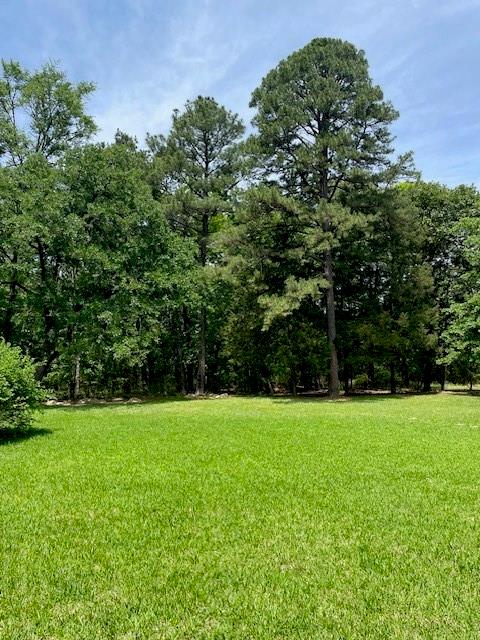 139 Ma County Road 3630, Jefferson, Texas image 12