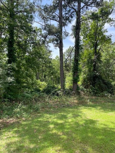 139 Ma County Road 3630, Jefferson, Texas image 10