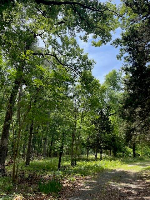 139 Ma County Road 3630, Jefferson, Texas image 4