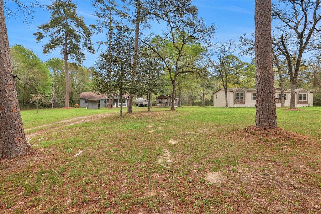 15853 Grand Flower Road, Plantersville, Texas image 12