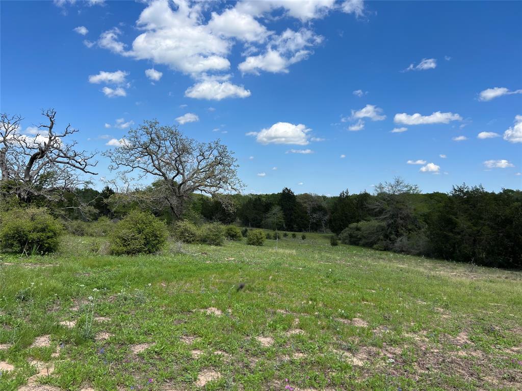 6925 S Sycamore Crossing Road, Bellville, Texas image 44