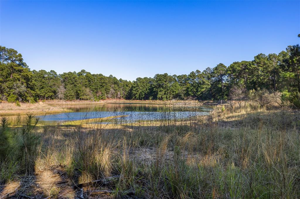 650 Pietsch Kappler Road, La Grange, Texas image 9