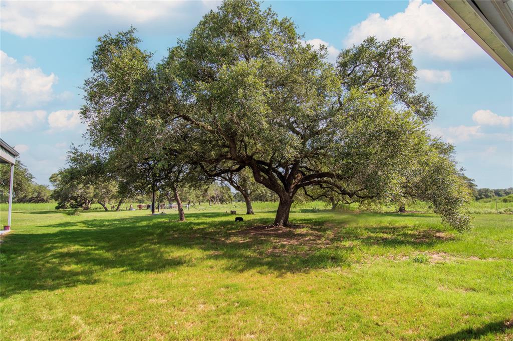 15545 State Highway 111, Yoakum, Texas image 40